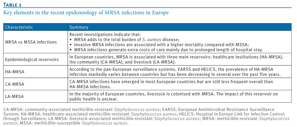 mrsa  infection causes
