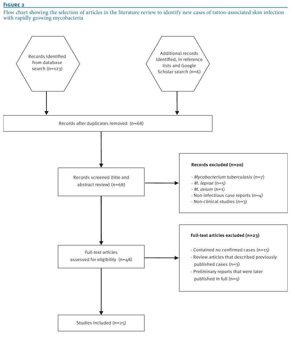 Literature review process