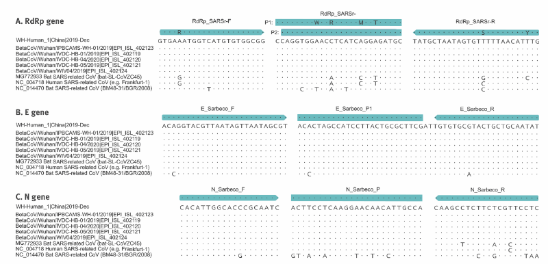 Eurosurveillance Detection Of 19 Novel Coronavirus 19 Ncov By Real Time Rt Pcr
