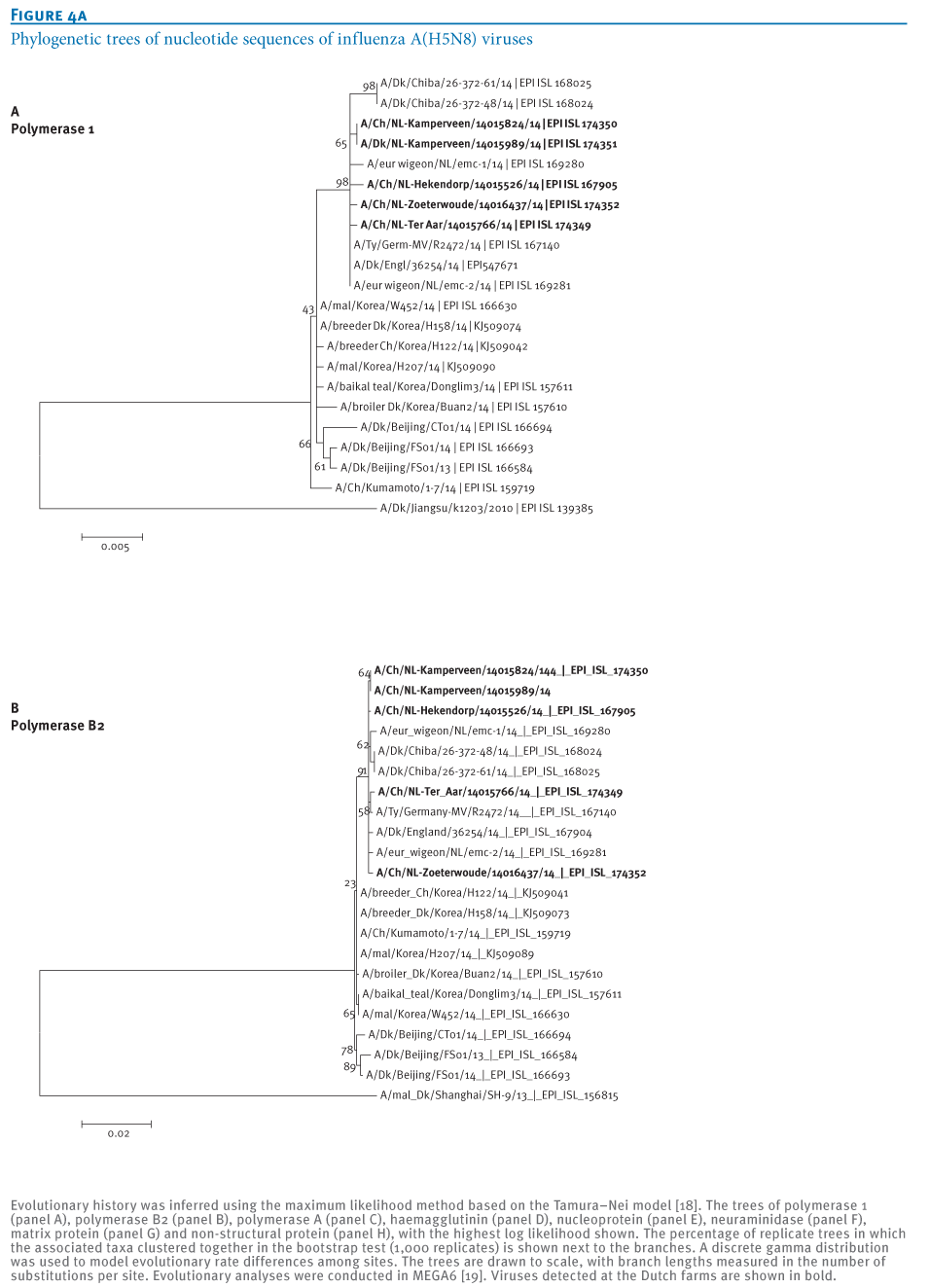 Eurosurveillance Phylogenetic Analysis Of Highly Pathogenic